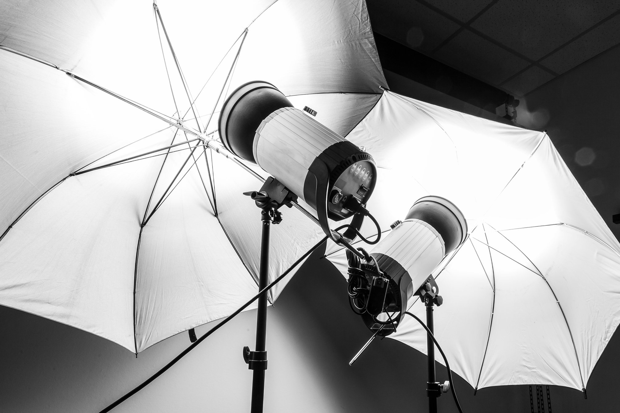 Studio Light for Photography